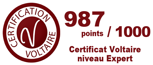 Typographic 987 points au Certificat Voltaire